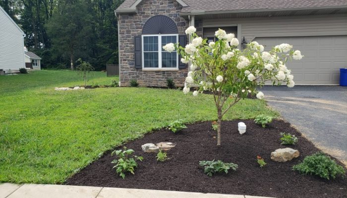 end of driveway landscaping